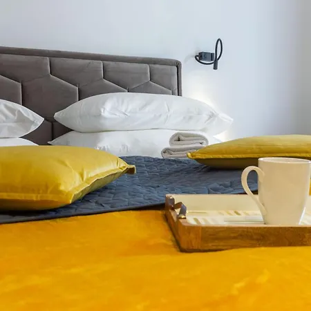 2m Exclusive 자다르